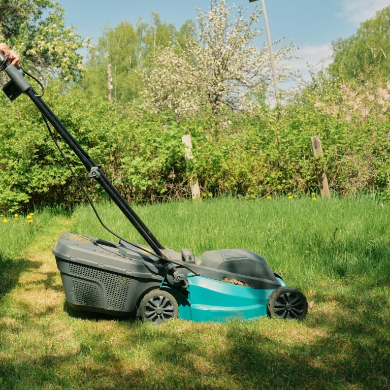 Akku Rasenmäher mieten Akku-Rasenmäher mieten Rasenmäher mieten Akku Rasenmäher Vermietung Akku-Rasenmäher Vermietung Rasenmäher Vermietung 