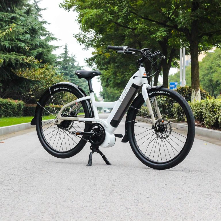 E-Bike mieten E-Bike Vermietung E-Bike leihen E-Bike ausleihen E-Bike Verleih E-Bike mieten in der Nähe E-Bike mieten Rheine E-Bike günstig 