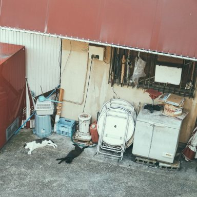 Entrümpelungen Haushaltsauflösung Wohnungsauflösung Hausmeisterservice Sperrmüll Entsorgung Teschnische Betriebe 2M Rheine Emsdetten Emsland