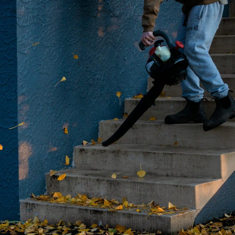 Laubbläser mieten Elektro Laubbläser mieten Laubbläser Vermietung Elektro Laubbläser Vermietung Laubbläser leihen Laubbläser ausleihen Elekt